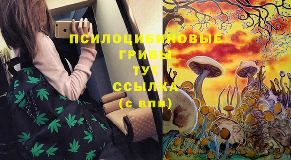винт Магас