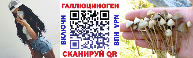 Галлюциногенные грибы мицелий  цены наркотик  Екатеринбург 