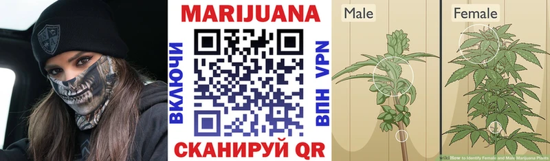 Марихуана Ganja Екатеринбург